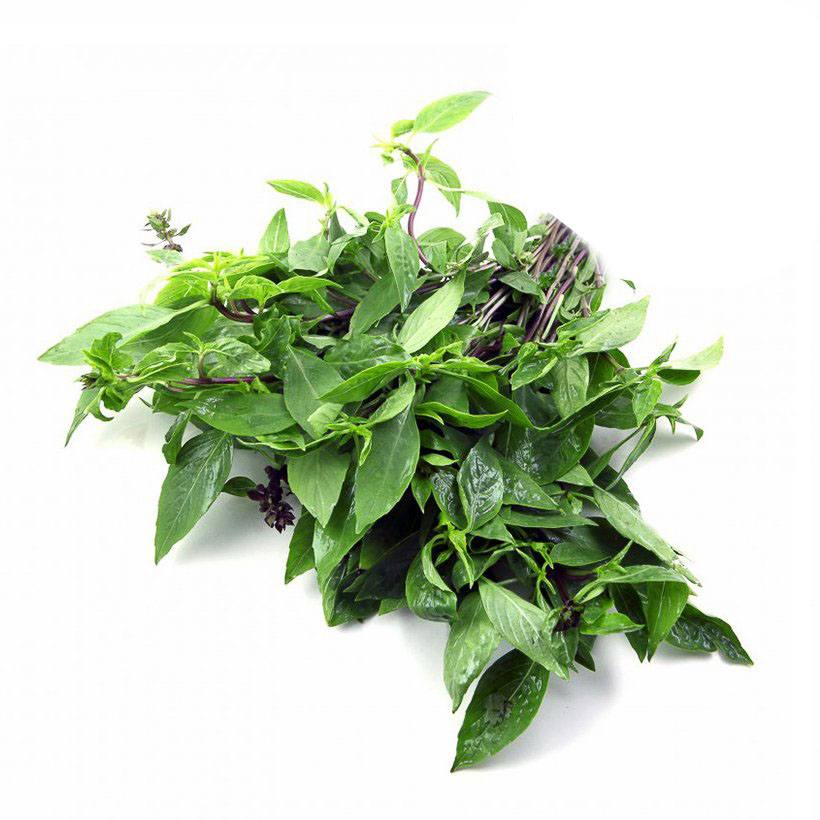 Hạt giống rau húng quế